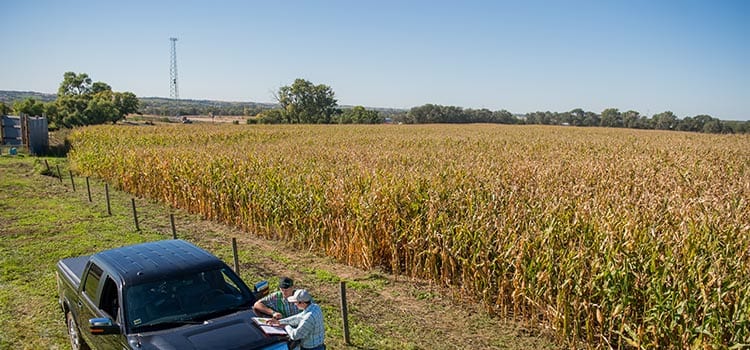 Mou With Usda And Corn Growers